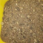 Example of concentrate feed – purchased blend including rapeseed meal, protected rapeseed meal, distillers wheat dark grains, sugar beet pulp and palm kernel expeller.