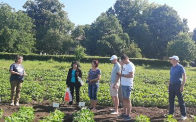 Visit of Soybean Experimental Station Pavlikeni, Bulgaria