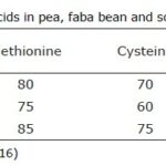 Table in digestibility of selected amino acids in pea, faba bean and soybean meal