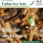 thumbnail_bugs-5add557b
