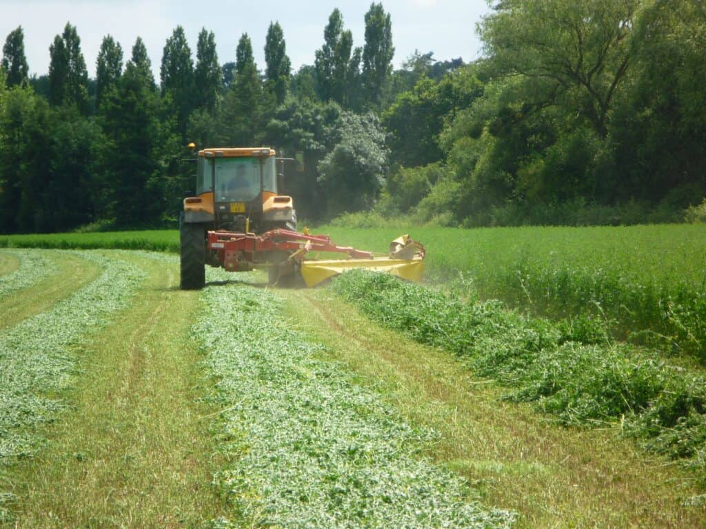Harvesting And Storing Lucerne Legumehub eu Harvesting And Storing Lucerne Legumehub eu