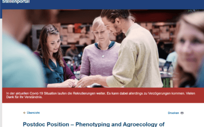 Postdoc Position – Phenotyping and Agroecology of Legume Crops