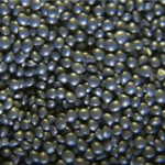 beluga_lentils_thumb-302c0e3a