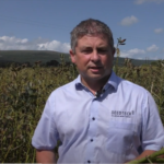 thumb_seedtech_faba-5636223e