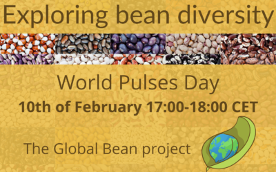 Exploring bean biversity on world pulses day