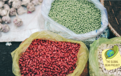 Legumes and the hunger crisis