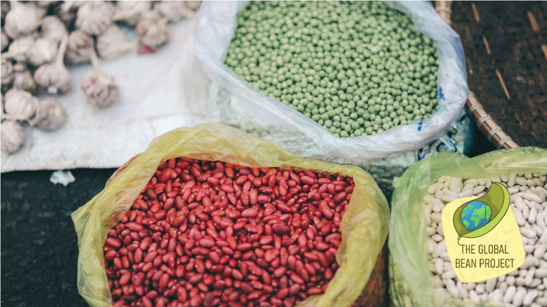 legumes_beans World Soybean Research Conference 11