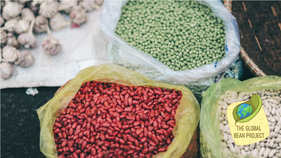 Beans, Legumes, and Pulses – Oh My!