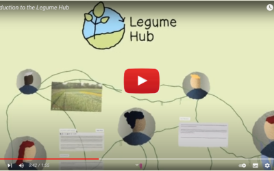 Introduction to the Legume Hub