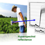 Legumehub_pic_soy_latest_research_2022_03_17_jv_boku-96d325c9