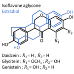 isoflavones scheme-38b7d870