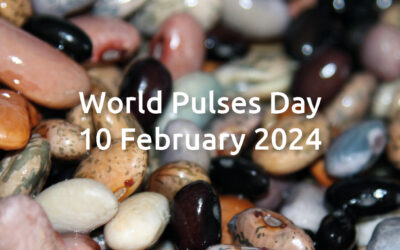 UN World Pulses Day – 10 February 2024
